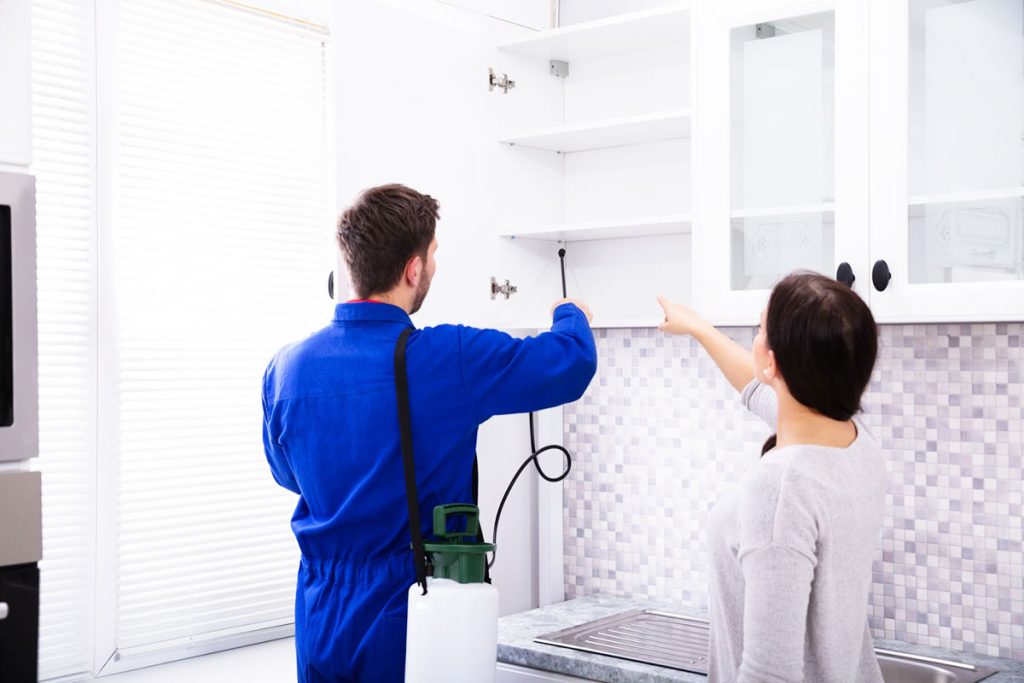 Curated visual reference: Picture Idea: Residential Pest Control