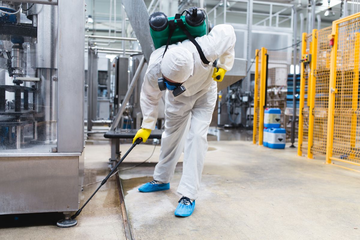 Commercial Pest Control-Pest Control Campbelltown Reliable & Effective Pest Solutions