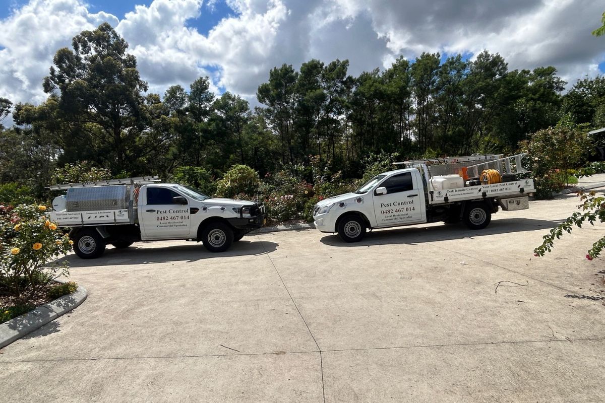 Vehicles--Pest Control Ambarvale Expert Solutions for Homes & Businesses