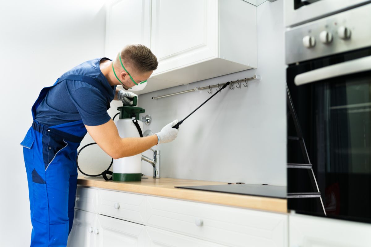 Bee Pest Control-Pest Control Edmondson Park – Local, Licensed & Trusted