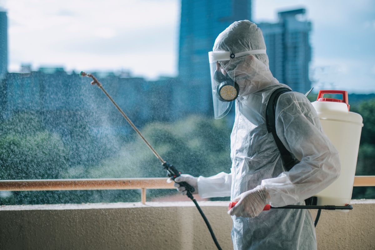 Bee Pest Control-Pest Control Gilead Bee Pest Control-Pest Control Gilead