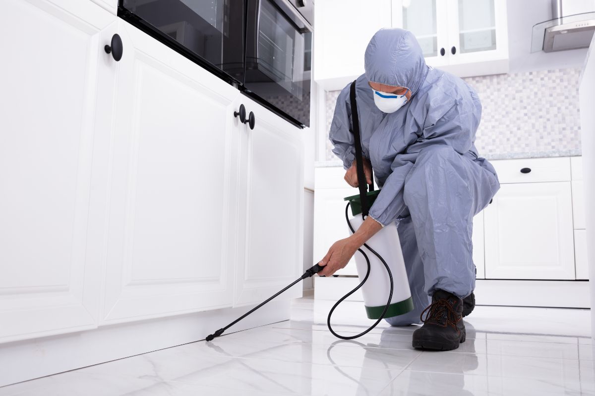Cockroach Pest Control-Pest Control Glenfield – Local Pest Experts You Can Trust