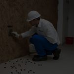How Regular Pest Inspections Can Save Macarthur Businesses Thousands of Dollars