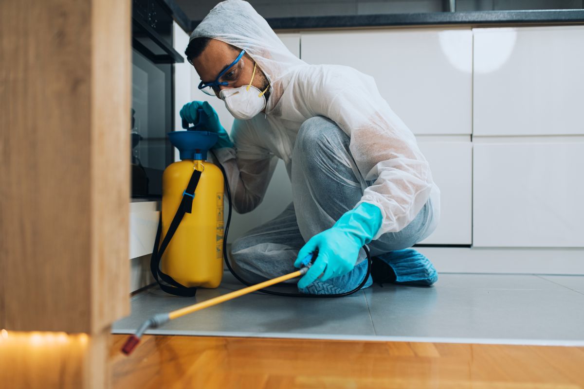 Pest Control Ingleburn – Trusted Local Experts