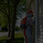 Top 5 Reasons to Choose Professional Commercial Pest Control in Macarthur